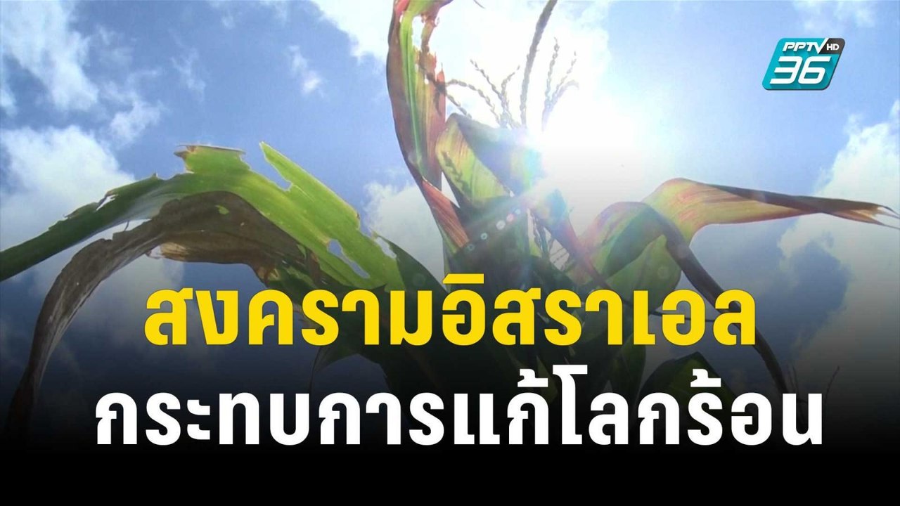 สงครามอิสราเอล-ฮามาสส่งผลกระทบลามไปถึงปัญหาโลกร้อน | ทันโลก EXPRESS | 29 ต.ค. 66
