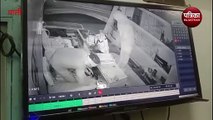 Watch Video : ज्वैलरी शॉप में चोरी : यहां चोरों ने दुकान का शटर तोड़ दिया वारदात को अंजाम, लाखों के आभूषण चोरी