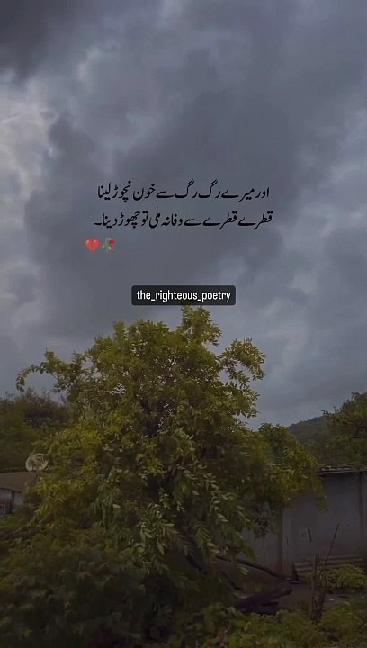Poetry 