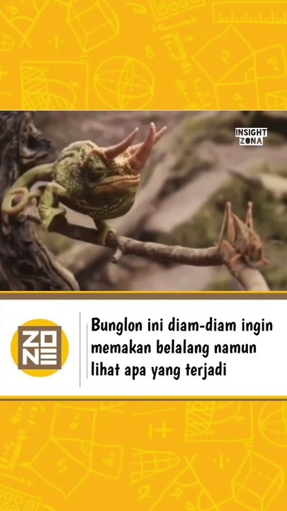 Funny BungloN