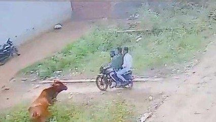 मेरठ: चोरी की वारदात करने वाले चोर हुए सीसीटीवी कैमरे में कैद