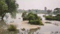 अमरोहा: नहर का बांध टूटने से खेतों में घुसा पानी, किसानों ने की मुआवजे की मांग