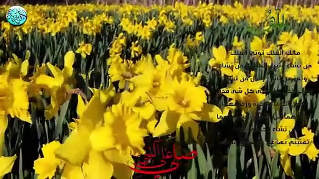 دعاء اللّهم مالك الملك تؤتي الملك من تشاء وتنزع المُلك ممن تشاء وتعزّ من تشاء وتذلّ من تشاء