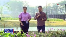 Ketua DPP PDIP, Ahmad Basarah Angkat Suara soal Gibran Rakabuming Raka Lawan Instruksi Megawati