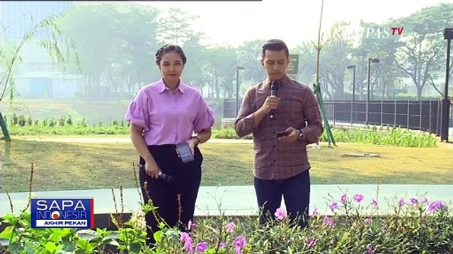 Ketua DPP PDIP, Ahmad Basarah Angkat Suara soal Gibran Rakabuming Raka Lawan Instruksi Megawati