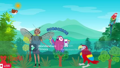 Mengapa Pelestarian Hewan Penting Part#1