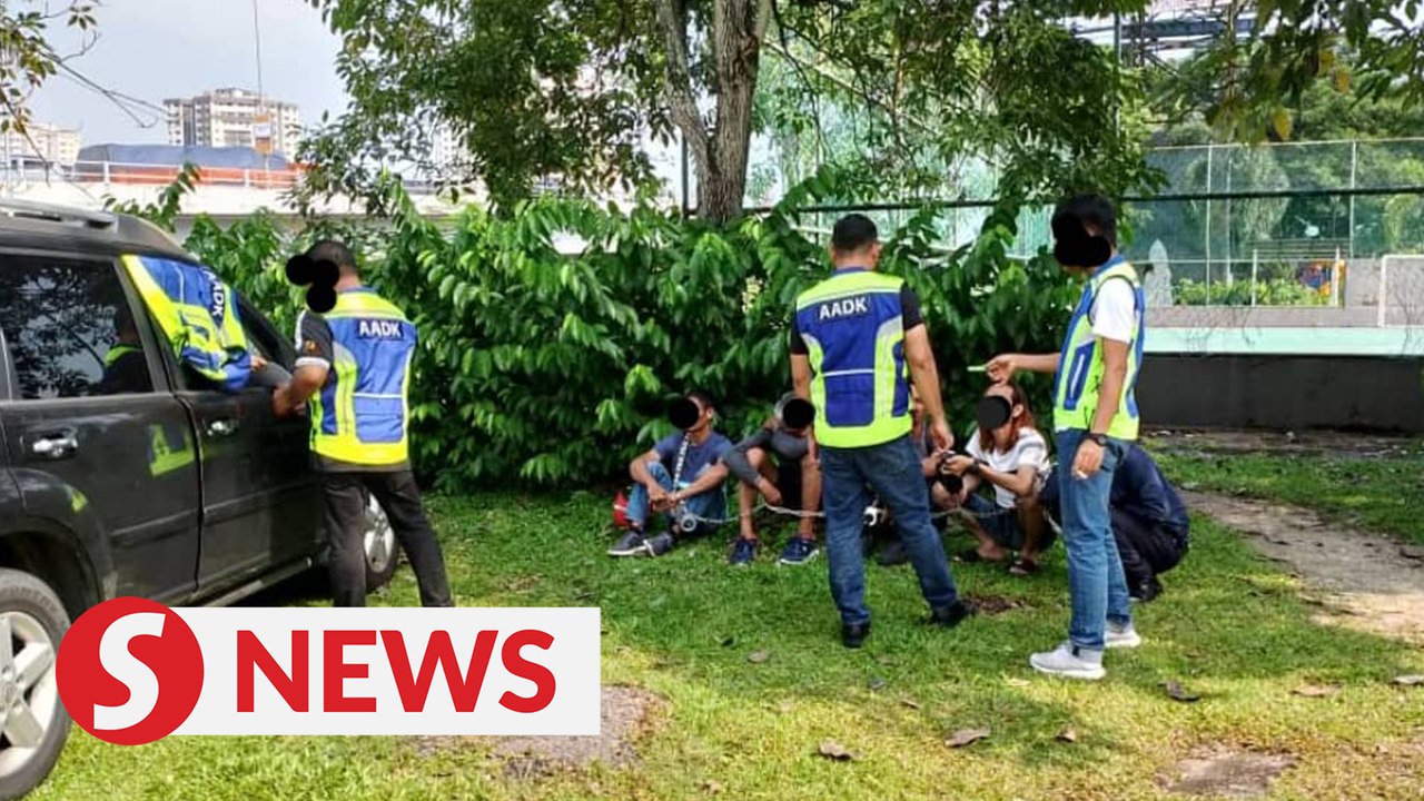 Five motorists nabbed at traffic stop after tes...