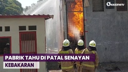 Tabung Gas 50 Kg Meledak, Pabrik Tahu di Patal Senayan Kebakaran