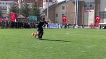 Nevşehir'de Cumhuriyetin 100. yıl dönümü etkinlikleri kapsamında JAKEM köpeği 'Nefes' gösterisi
