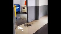 Inundação em parque de estacionamento nos Viveiros