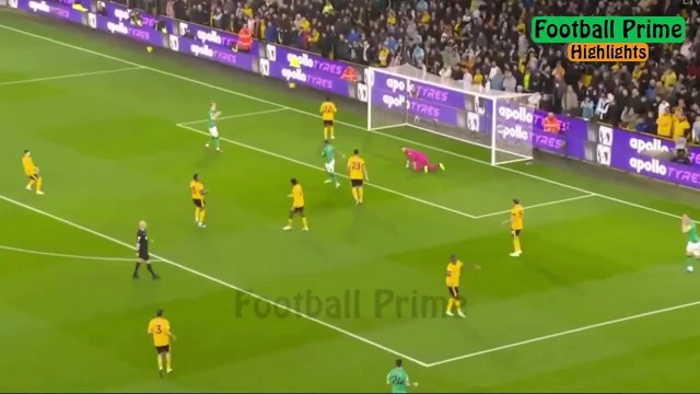 Wolves 2-2 Newcastle United Premier League highlights 2023 황희찬 골 울버햄튼 vs 뉴캐슬 하이라이트 (2023년 10월29일)