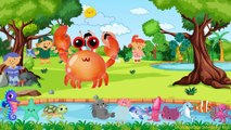 Sea Animals For Kids | Sea animal vocabulary for kids | Aquatic Animals