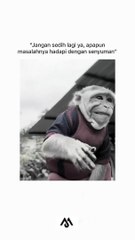 Apapun itu..., hadapilah semua dengan senyuman :)