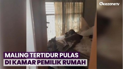 Viral Maling Tertidur Pulas di Kamar Pemilik Rumah di Pademangan