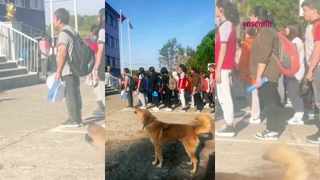 İstiklal Marşı'na eşlik eden köpek yüzleri gülümsetti!