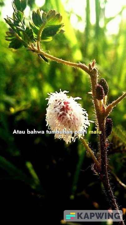 Bagian_10_fakta_menarik.