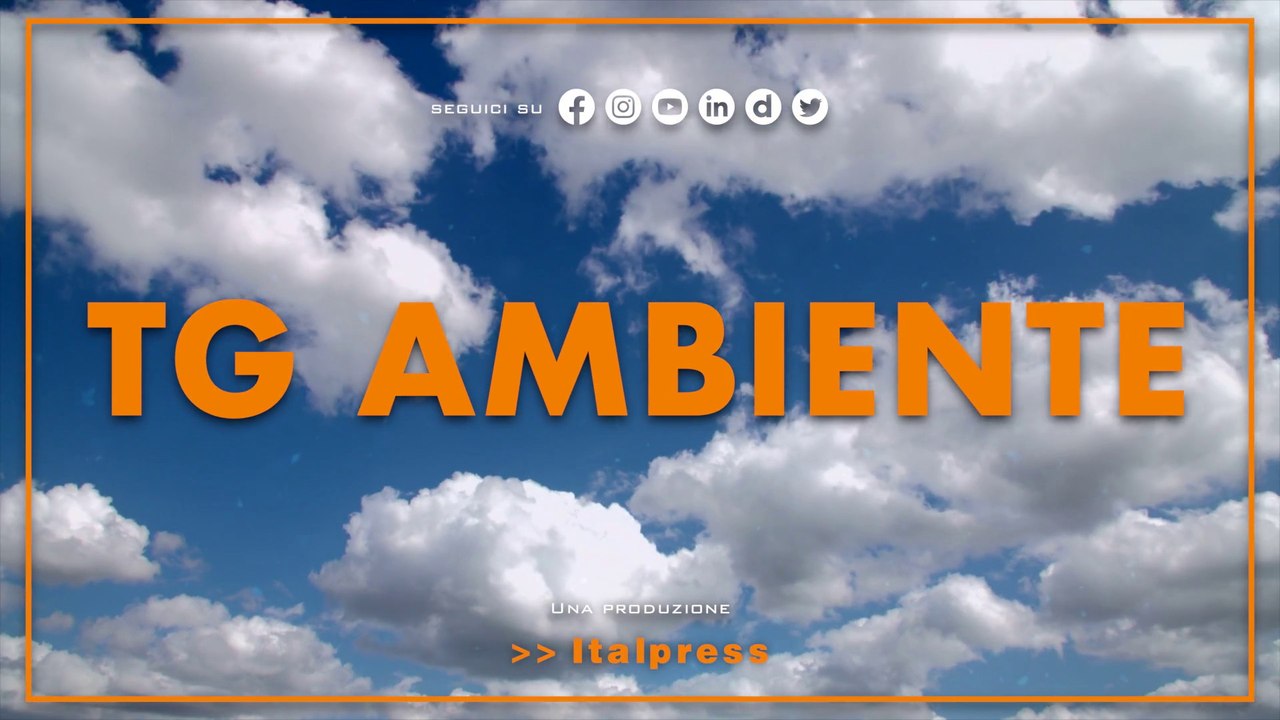 Tg Ambiente - 29/10/2023