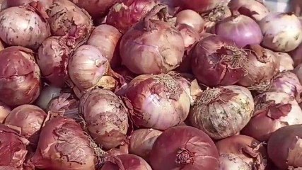 मुंगेर: नवरात्र समाप्त होते प्याज की बढ़ी मांग, गरीबों की थाली से गायब हुआ प्याज