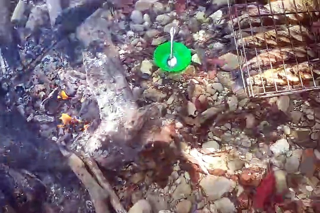 Tradisi Makan di Pulau saat Sungai Subayang Surut
