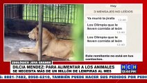 Trabajadores del zoológico Joya Grande denuncian que los animales no cuentan con alimentos