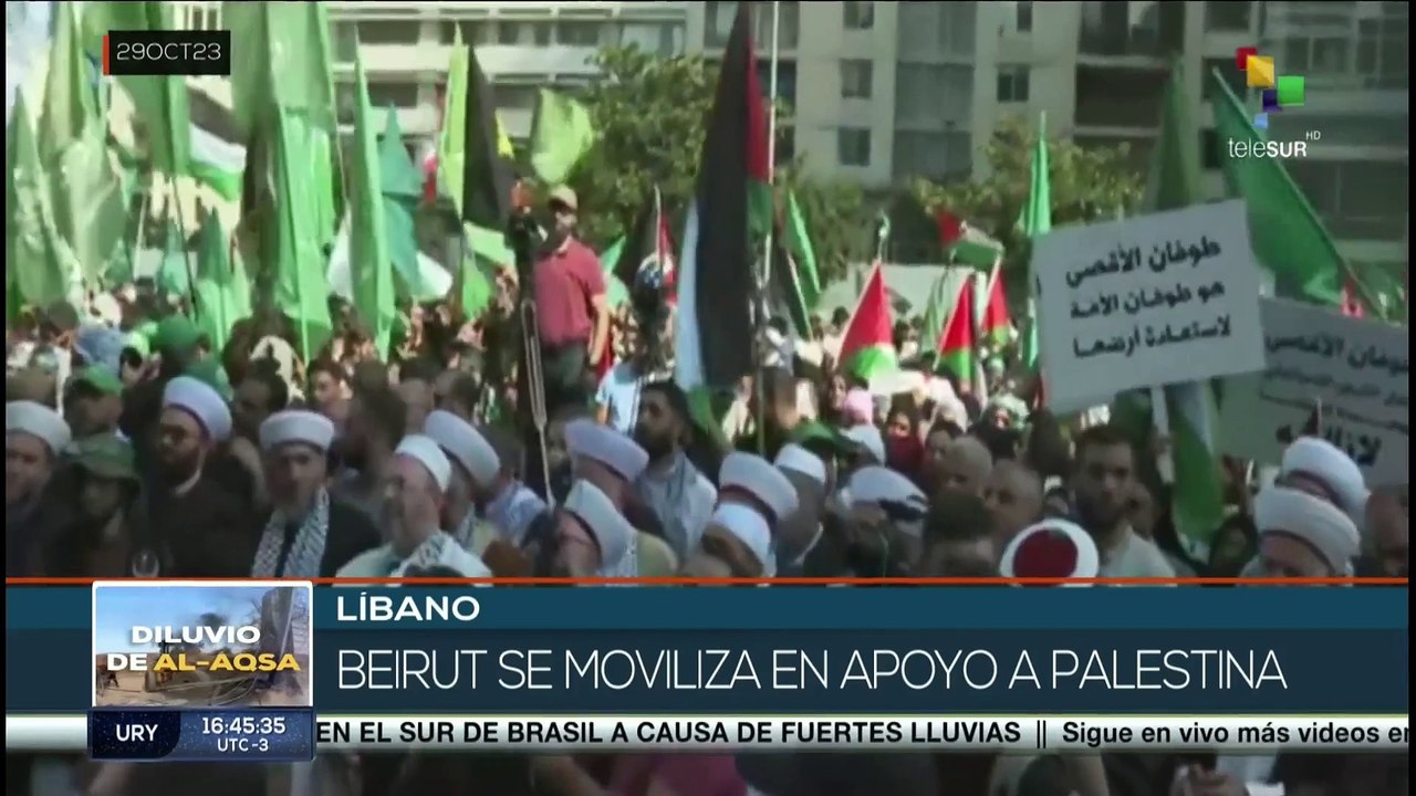 teleSUR Noticias 15:30 29-10: En Gaza aumentan a más de 8.000 los muertos por asedio israelí