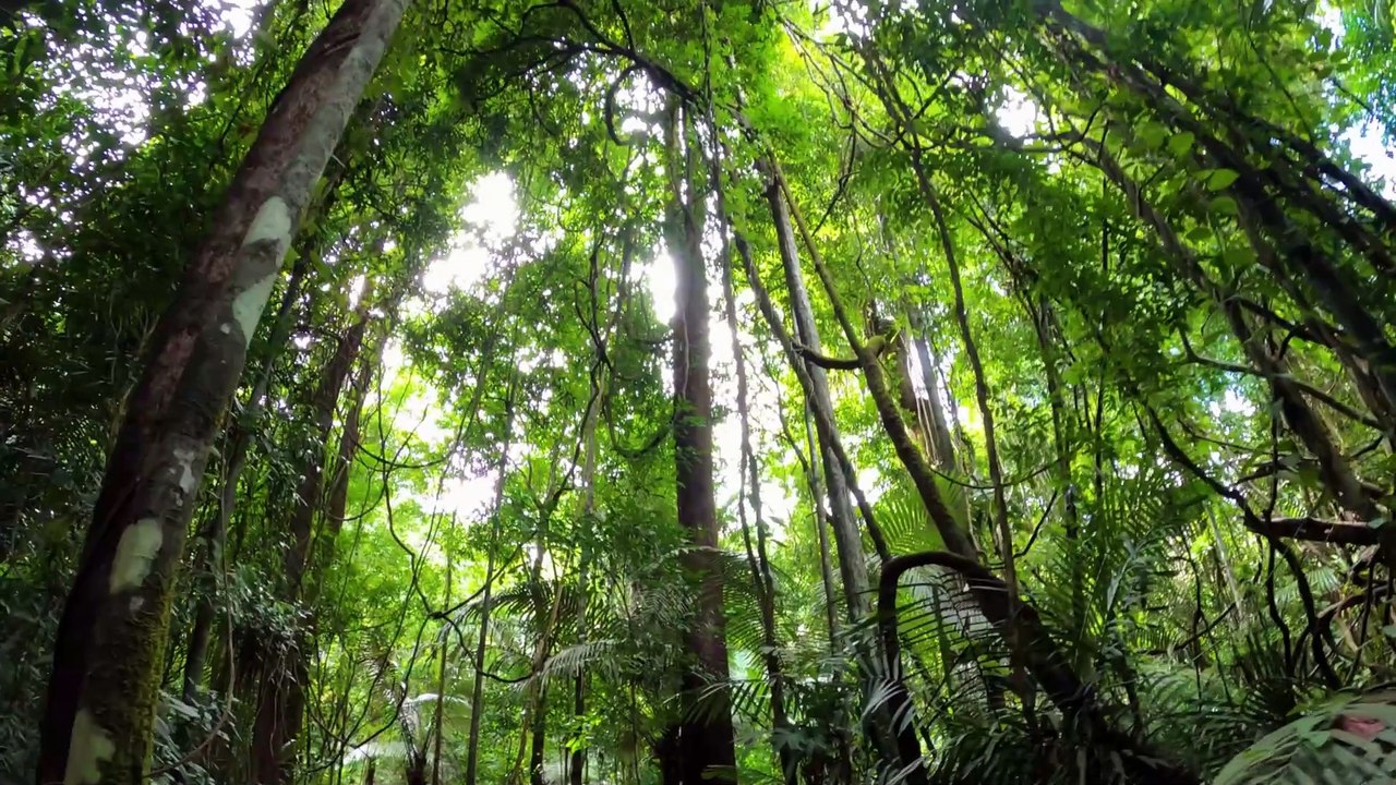 4k Ultra Nature Beauty Nature Beauty Iceland Nature BeautyEpisode 4