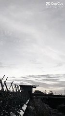 CINEMATIC SAWAH YANG HIJAU