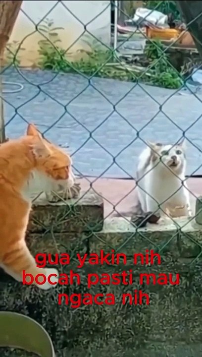 Cermin ajaib!!