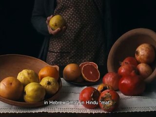 A Metamorfose dos Pássaros Bande-annonce (EN)