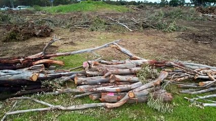 La Trobe University's plan to cut carbon emissions using solar farm sparks environmental concerns