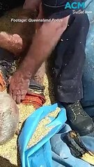 Remarkable moment farmer trapped in a grain silo is rescued