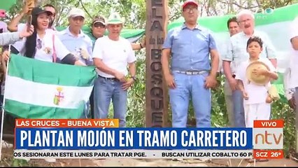 Plantan mojón sentinela en tramo carretero en Las Cruces – Buena Vista