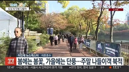 알록달록 붉게 물든 호수…도심 속 단풍 나들이 즐겨요