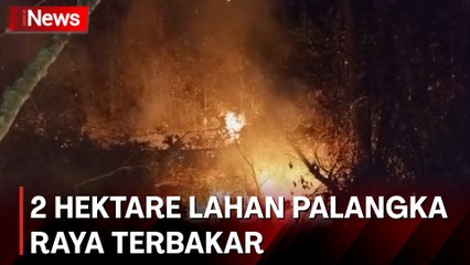 2 Hektare Lahan di Palangka Raya Terbakar, Tim Gabungan Terkendala Akses