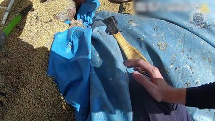 Man saved from silo by police | Queensland Country Life | 30/10/23