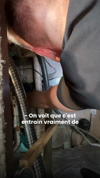 Nos cheveux sauvent les océans 
