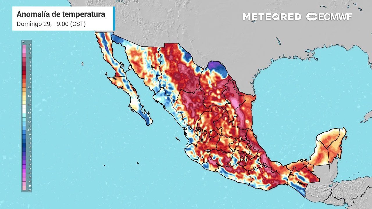 Modelo ECMWF - Anomalía de temperatura