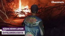 2 Hektare Lahan di Palangkaraya Terbakar, Diduga Sengaja Dibakar