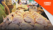 Kerajaan jamin tidak berlaku kenaikan harga ayam secara mendadak - Mohamad