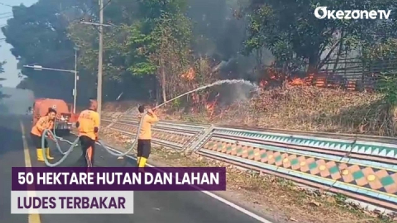 50 Hektare Hutan dan Lahan di Negeri Baru Terbakar Hebat