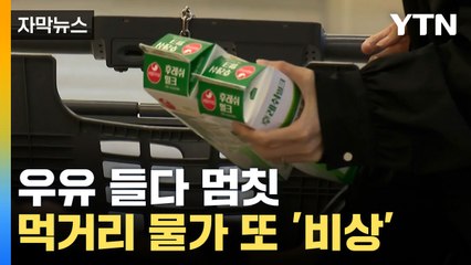 [자막뉴스] 소비 줄어도 인상... 먹거리 물가 또 '비상' / YTN
