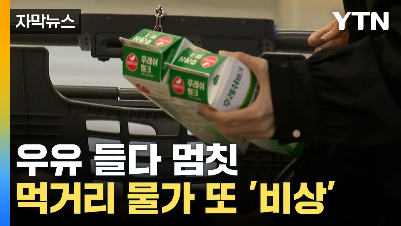 [자막뉴스] 소비 줄어도 인상... 먹거리 물가 또 '비상' / YTN