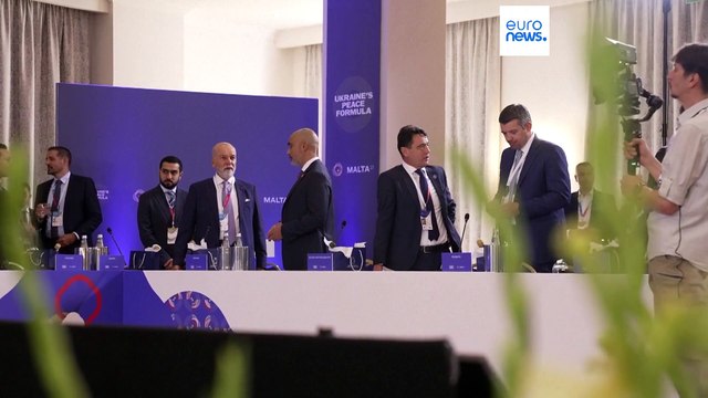 Da Malta Dichiarazione unificante , il vertice per discutere la Formula di Pace di Zelensky