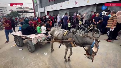Gazze'de yakıt sıkıntısı nedeniyle eşek arabaları kullanılmaya başlandı