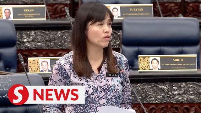 Concerts must have 'kill switch' in place to curb untoward incidents, Dewan Rakyat told