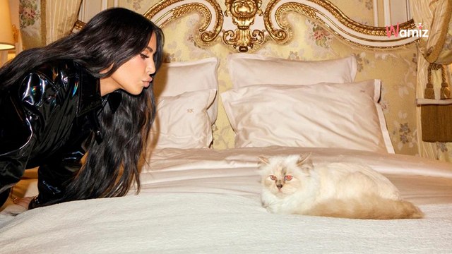 Kim Kardashian rencontre Choupette la chatte de Karl Lagerfeld : l’entrevue tourne court