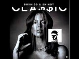 Bushido & Shindy - FAZ