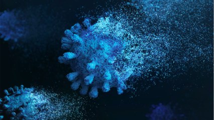 Une étude de l'Institut Pasteur montre que le Covid-19 envahit et infecte le système nerveux