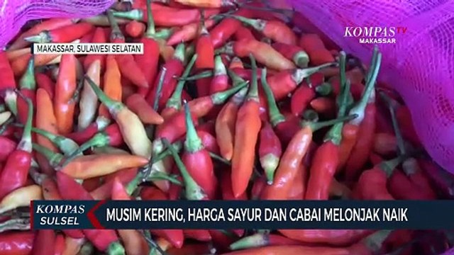 Musim Kering, Harga Sayur Dan Cabai Melonjak Naik