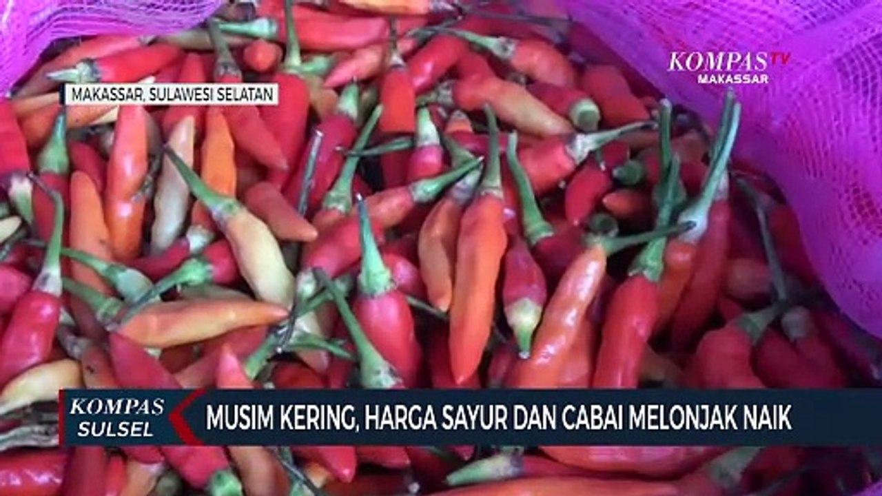 Musim Kering, Harga Sayur Dan Cabai Melonjak Naik